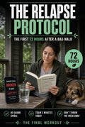 The Relapse Protocol- The First 72 Hours After a Bad Walk - Level 5